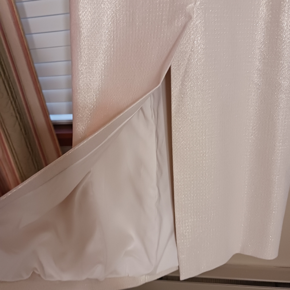 Teri Jon evening gown. Size 6, champagne color